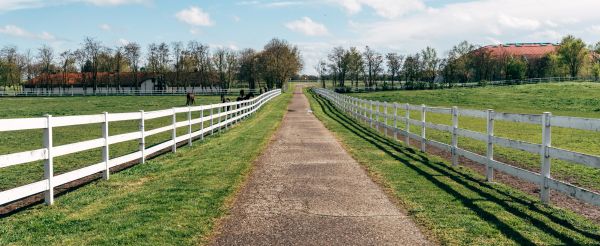 Paddock Fence Painting - Paddock Fence Painting Rockland County, New York